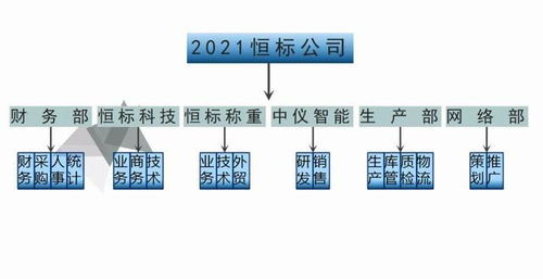 恒標(biāo)公司2021年發(fā)展戰(zhàn)略 聚焦物聯(lián)網(wǎng)技術(shù)研發(fā)，驅(qū)動(dòng)智能化未來
